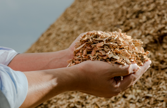 環境・リサイクル・バイオマス